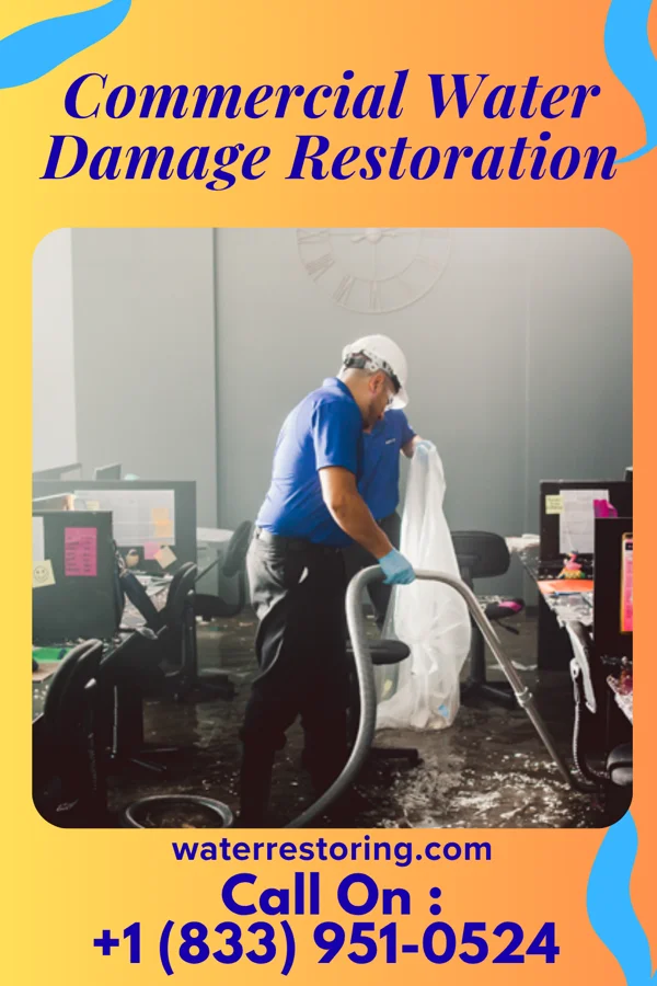 Commercial Water Damage Restoration in Chili, NM